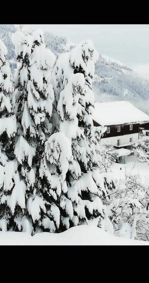 Fruehstueckspension Alpenrose Bed & Breakfast Iselsberg Buitenkant foto